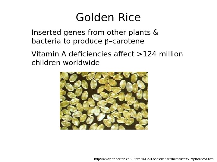  http: //www. princeton. edu/~fecelik/GMFoods/impactshumanconsumptionpros. html. Golden Rice Inserted genes from other plants & bacteria