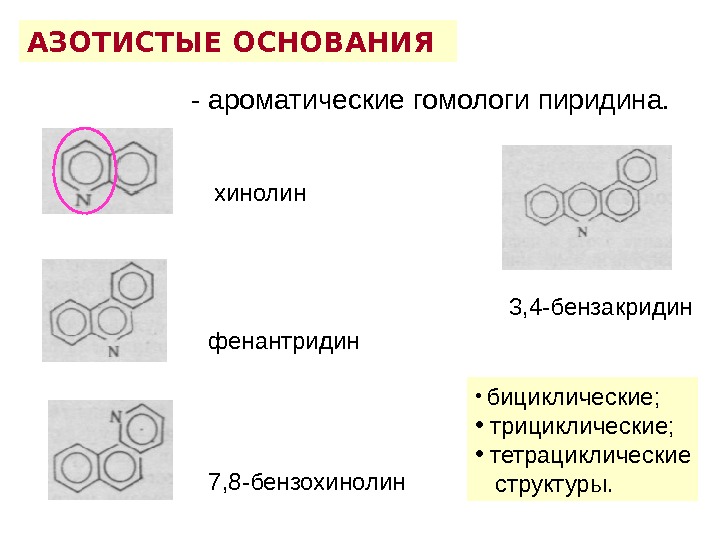 АЗОТИСТЫЕ ОСНОВАНИЯ - ароматические гомологи пиридина.  хинолин  фенантридин  7, 8 -бензохинолин  3,
