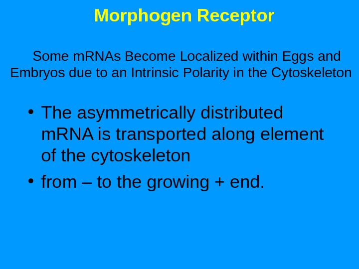 Morphogen Receptor Some m. RNAs Become Localized within Eggs and Embryos due to an Intrinsic Polarity