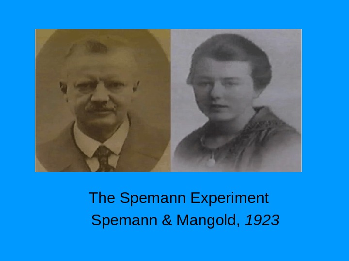 The Spemann Experiment Spemann & Mangold,  1923 