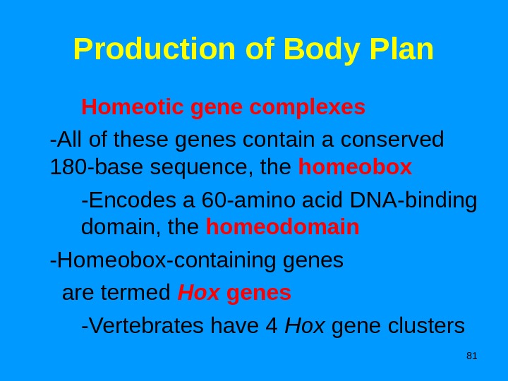 81 Production of Body Plan Homeotic gene complexes -All of these genes contain a conserved 180