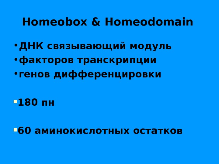 Homeobox & Homeodomain  • ДНК связывающий модуль  • факторов транскрипции  • генов дифференцировки