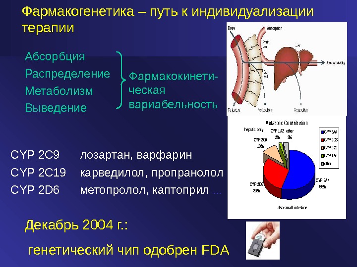 Абсорбция Распределение Метаболизм Выведение Фармакокинети- ческая вариабельность. Metabolic Contribution CYP 2D 6 30% CYP 1A 2