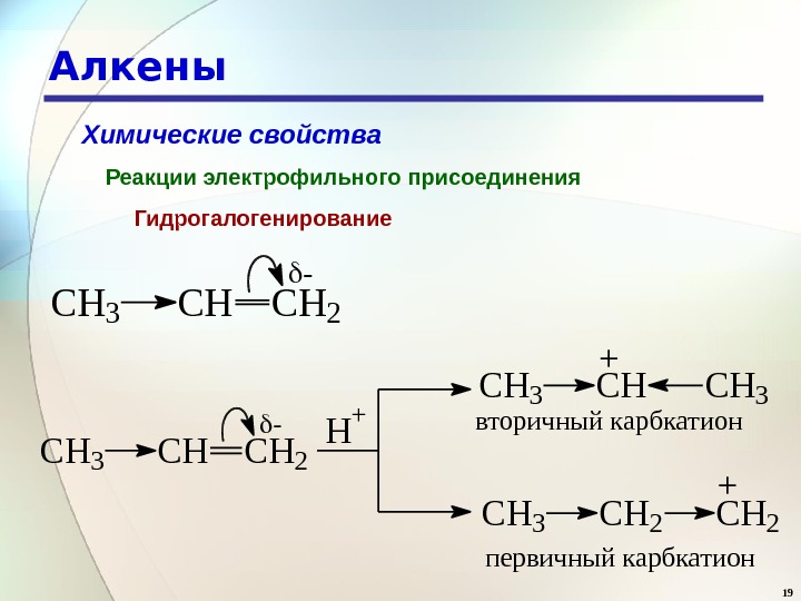 19 Алкены Химические свойства Реакции электрофильного присоединения Гидрогалогенирование. CH 3 CHCH 2 - H + CH