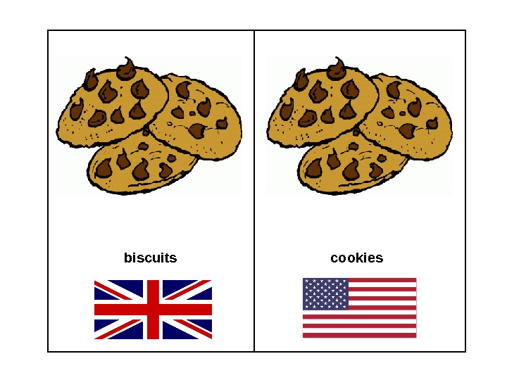 biscuits cookies 