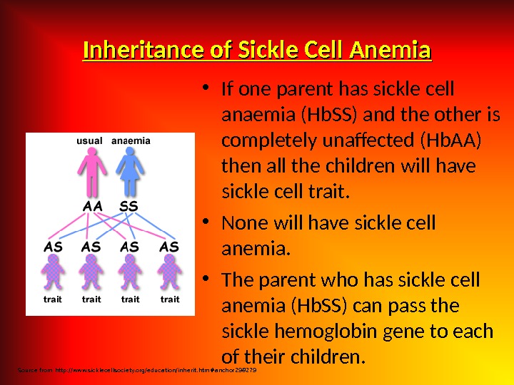 Inheritance of Sickle Cell Anemia • If one parent has sickle cell anaemia (Hb. SS) and
