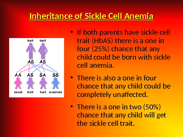 Inheritance of Sickle Cell Anemia • If both parents have sickle cell trait (Hb. AS) there