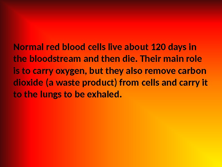 Normal red blood cells live about 120 days in the bloodstream and then die. Their main