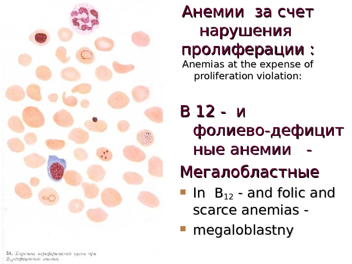 Анемии за счет нарушения пролиферации : Anemias at the expense of proliferation violation: В 12 -