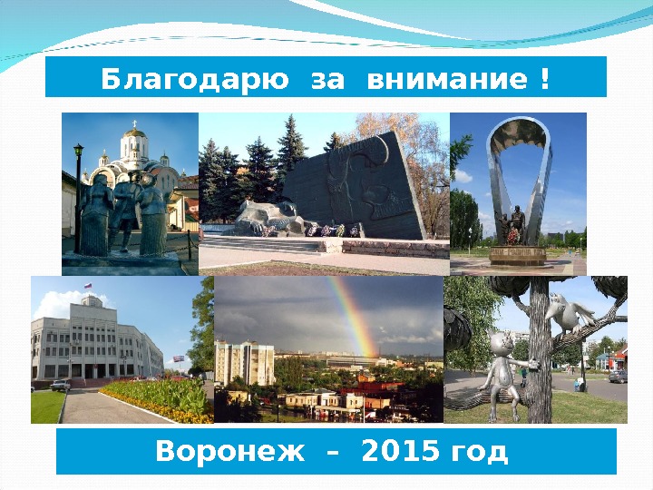 Благодарю за внимание ! Воронеж – 2015 год 