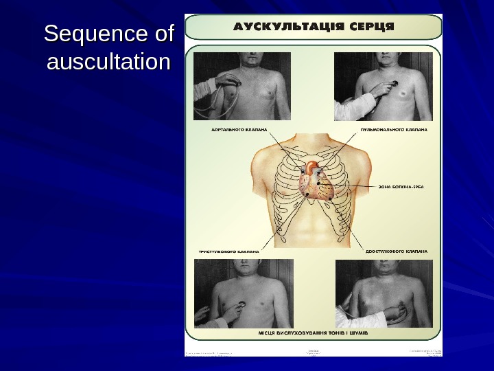  Sequence of auscultation 