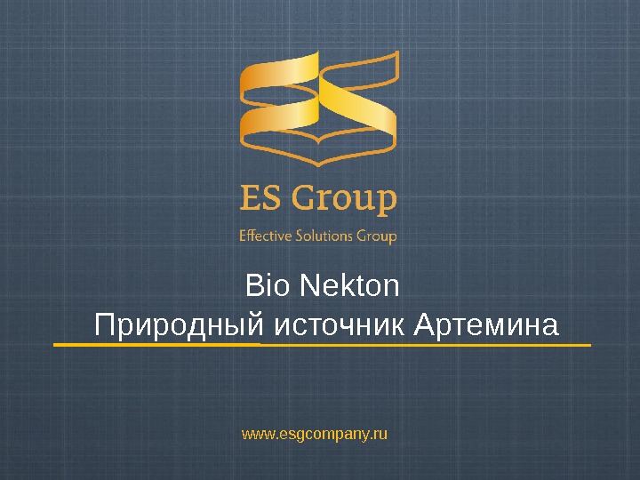 Bio Nekton Природный источник Артемина www. esgcompany. ru 