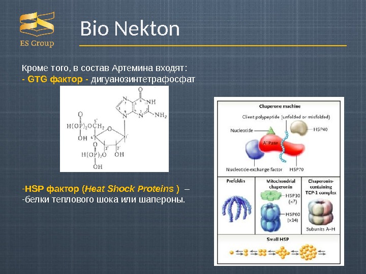 Bio Nekton Кроме того, в состав Артемина входят: - GTG фактор - дигуанозинтетрафосфат  - HSP