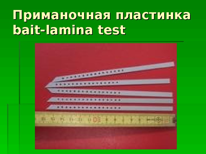 Приманочная пластинка bait-lamina test  