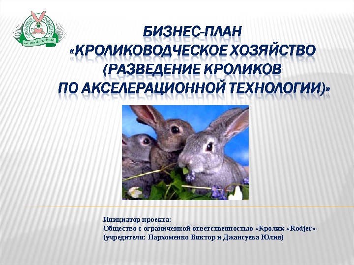 Инициатор проекта:  Общество с ограниченной ответственностью  « Кролик « Rodjer »  (учредители: Пархоменко