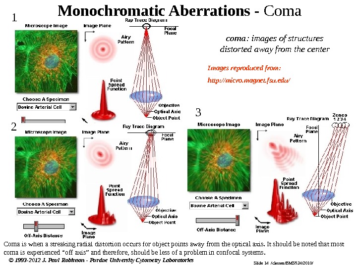 Slide 14  /classes/BMS 524/2010/© 1993 -2012 J. Paul Robinson - Purdue University Cytometry Laboratories Monochromatic