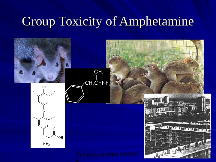 Symposium BNH, 10/08/0 4 24 Group Toxicity of Amphetamine 