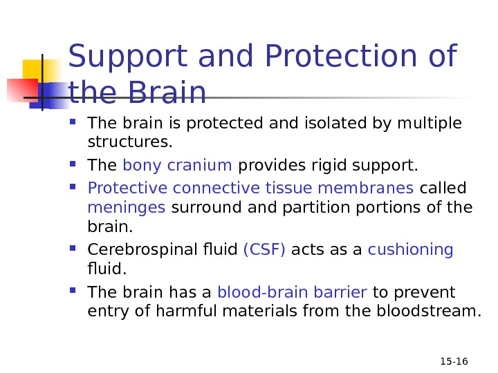 15 - 16 Support and Protection of the Brain  The brain is protected and isolated