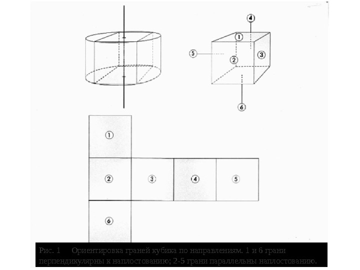  Рис. 1 Ориентировка граней кубика по направлениям. 1 и 6 грани перпендикулярны к наплостованию
