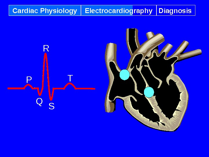 Cardiac Physiology Electrocardiography Diagnosis P Q R S T 