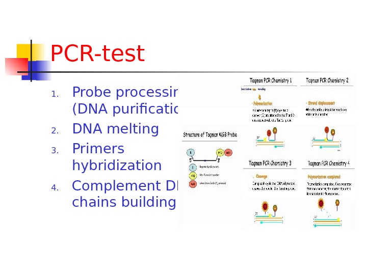 PCR-test 1. Probe processing (DNA purification) 2. DNA melting 3. Primers hybridization 4. Complement DNA chains