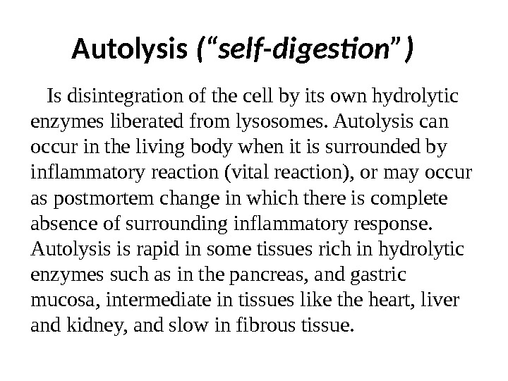 Autolysis  (“self-digestion”) I s disintegration of the cell by its own hydrolytic enzymes liberated from