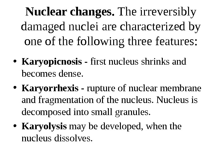 Nuclear changes.  The irreversibly damaged nuclei are characterized by one of the following three features: