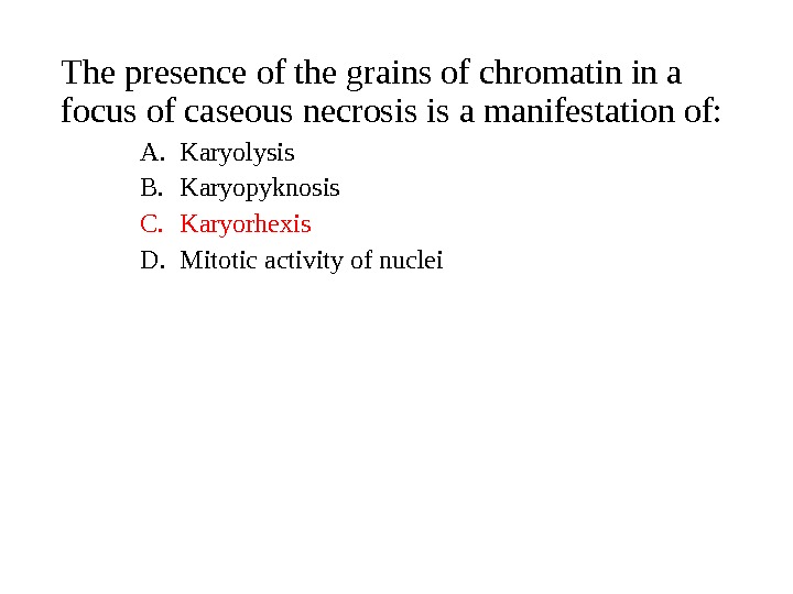 The presence of the grains of chromatin in a focus of caseous necrosis is a manifestation