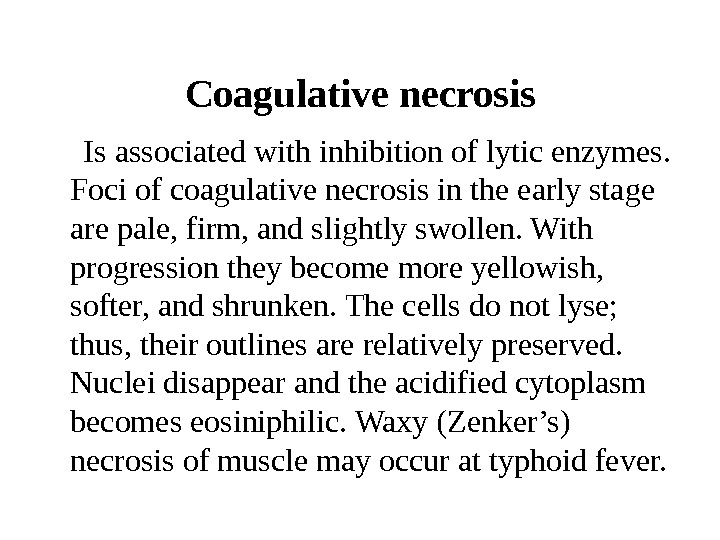  Coagulative necrosis   Is associated with inhibition of lytic enzymes.  Foci of coagulative