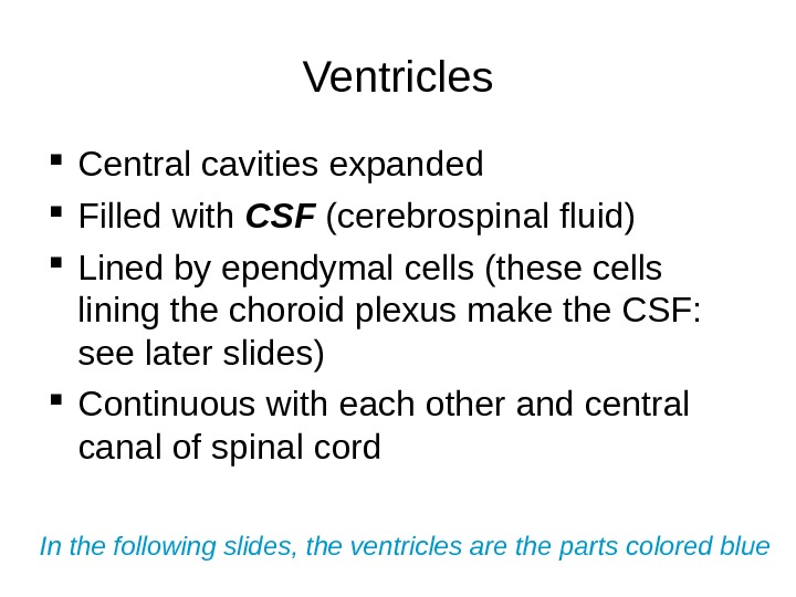 Ventricles Central cavities expanded Filled with CSF (cerebrospinal fluid) Lined by ependymal cells (these cells lining