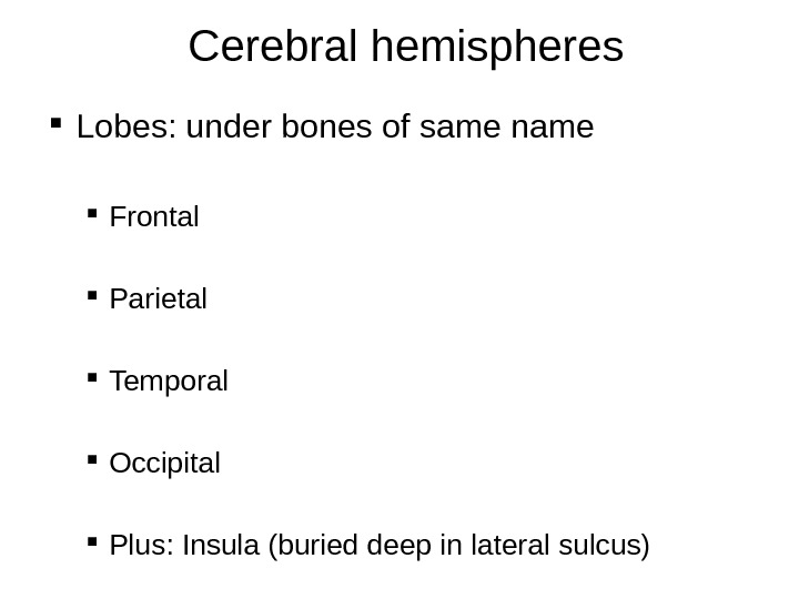 Cerebral hemispheres Lobes: under bones of same name Frontal Parietal Temporal Occipital Plus: Insula (buried deep