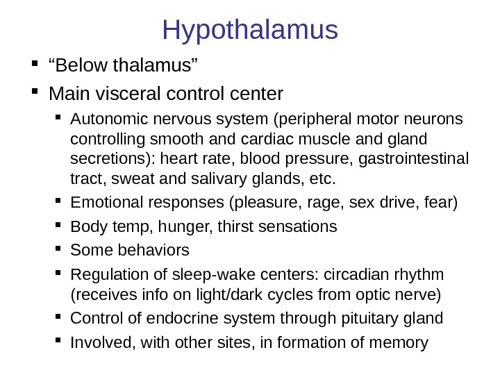 Hypothalamus “ Below thalamus” Main visceral control center Autonomic nervous system (peripheral motor neurons controlling smooth