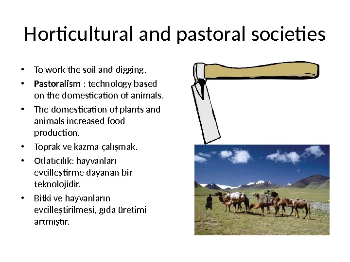 Horticultural and pastoral societies • To work the soil and digging.  • Pastoralism : technology