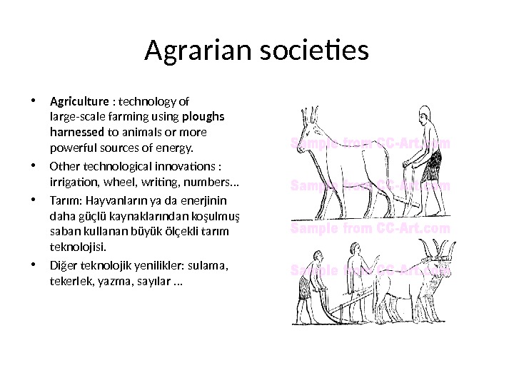 Agrarian societies • Agriculture : technology of large-scale farming using ploughs harnessed to animals or more