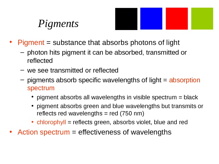  Pigments • Pigment = substance that absorbs photons of light – photon  hits pigment