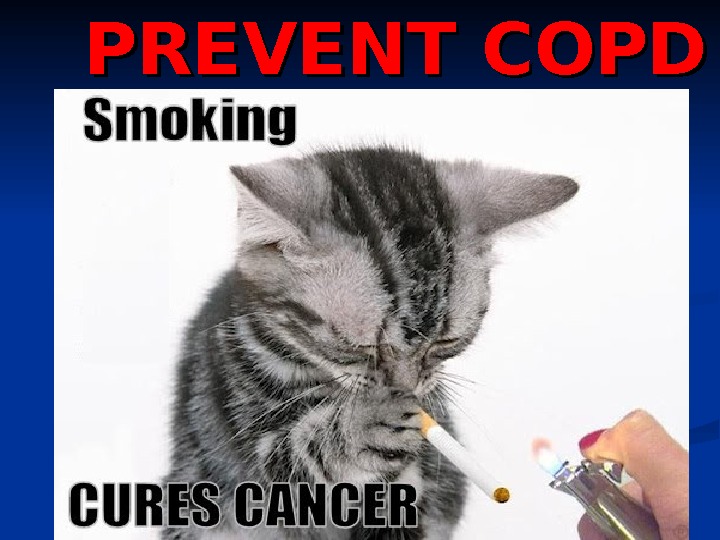   PREVENT COPD 