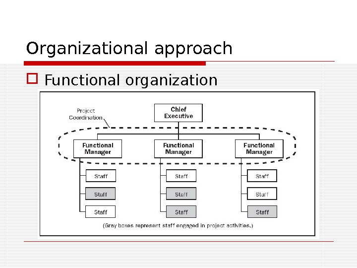 Organizational approach Functional organization 