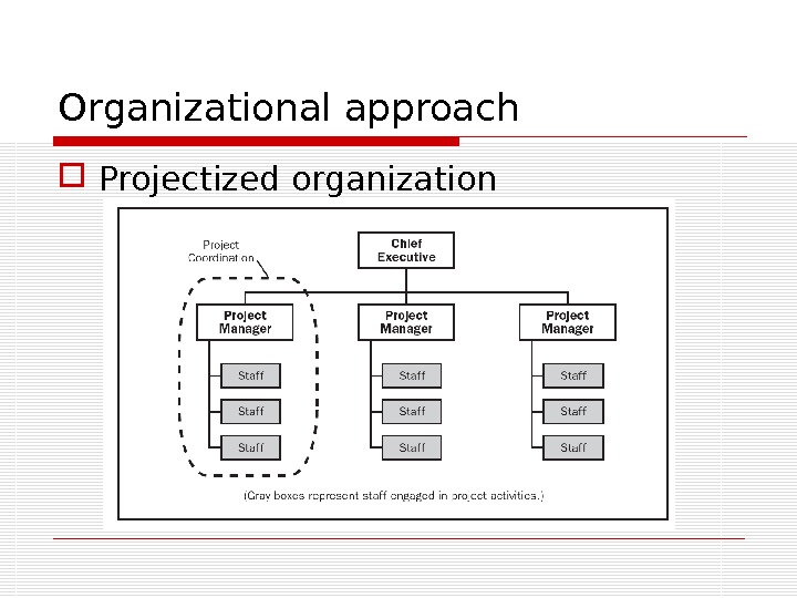 Organizational approach Projectized organization 