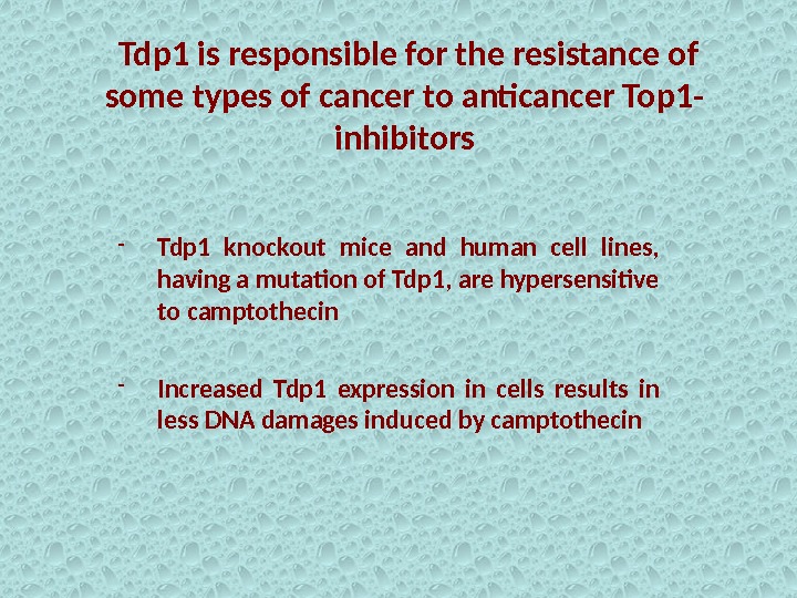  Tdp 1 is responsible for the resistance of some types of cancer to anticancer Top