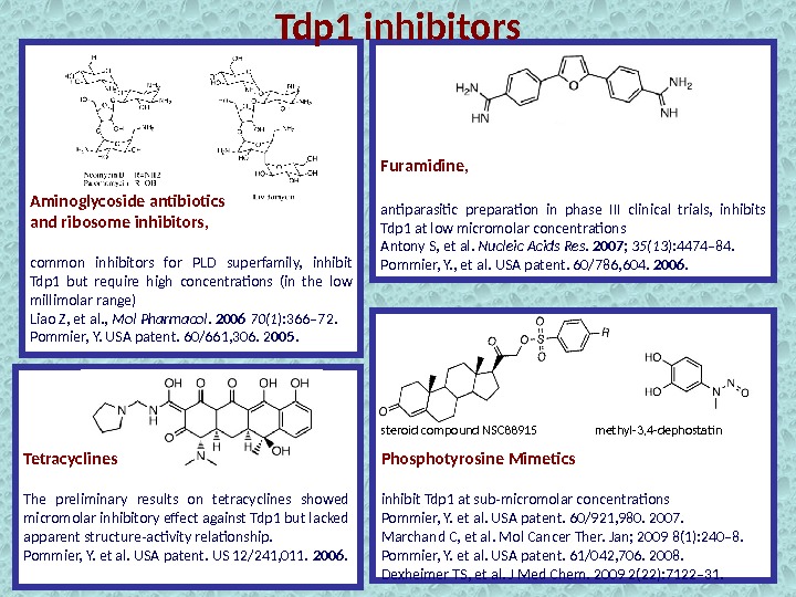 Tdp 1 inhibitors Aminoglycoside antibiotics and ribosome inhibitors,  common inhibitors for PLD superfamily,  inhibit