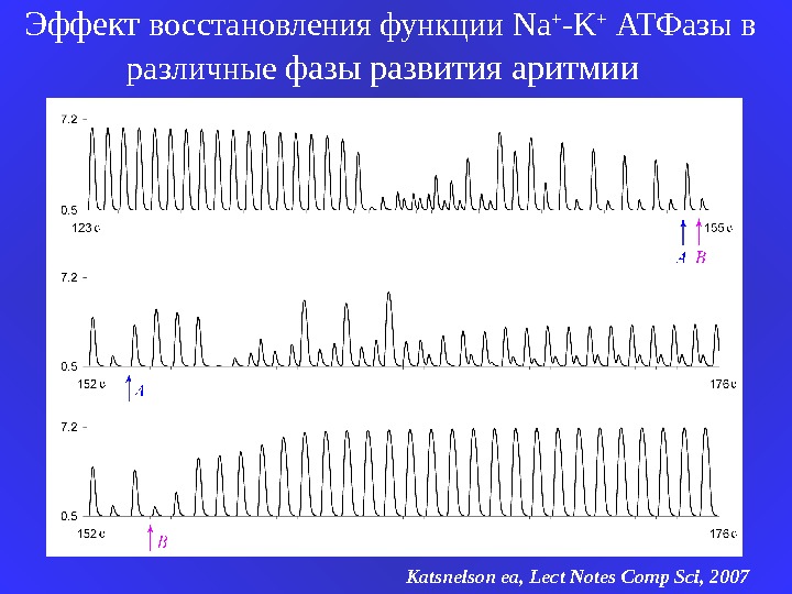   Эффект восстановления функции Na + - K + АТФазы в различные фазы развития аритмии