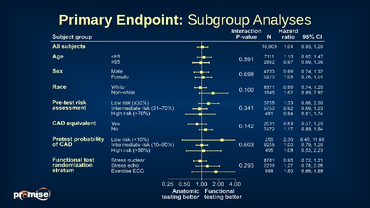 Primary Endpoint:  Subgroup Analyses 