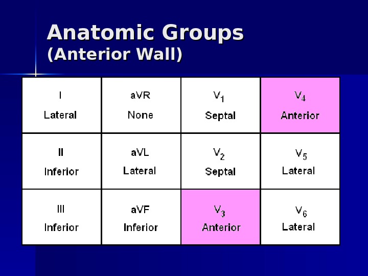 Anatomic Groups (Anterior Wall) 
