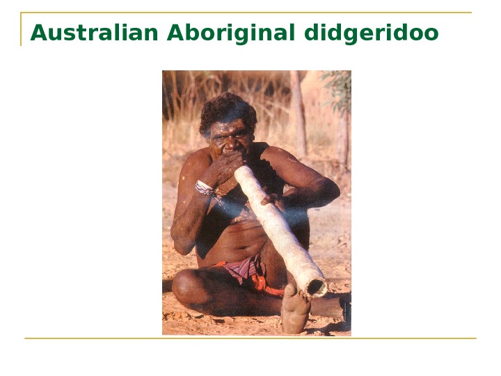 Australian Aboriginal didgeridoo 