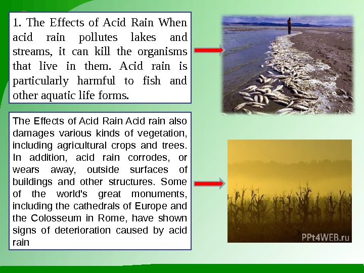 1.  The Effects of Acid Rain When acid rain pollutes lakes and streams,  it