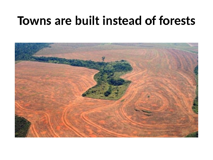 Towns are built instead of forests 