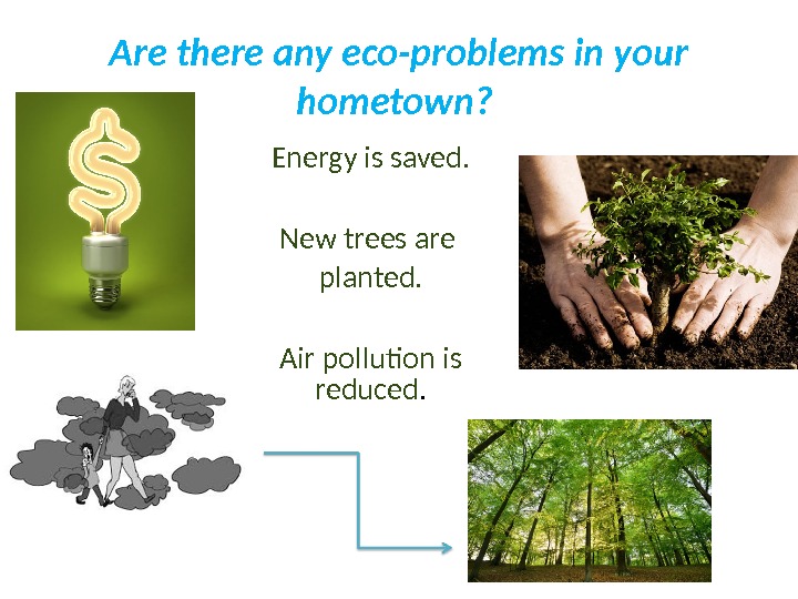 Are there any eco-problems in your hometown?  Energy is saved. New trees are planted. Air