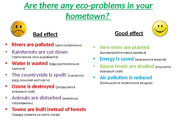 Are there any eco-problems in your hometown?  Bad effect • Rivers are polluted  (