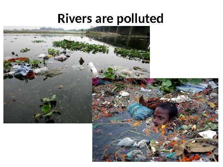 Rivers are polluted 