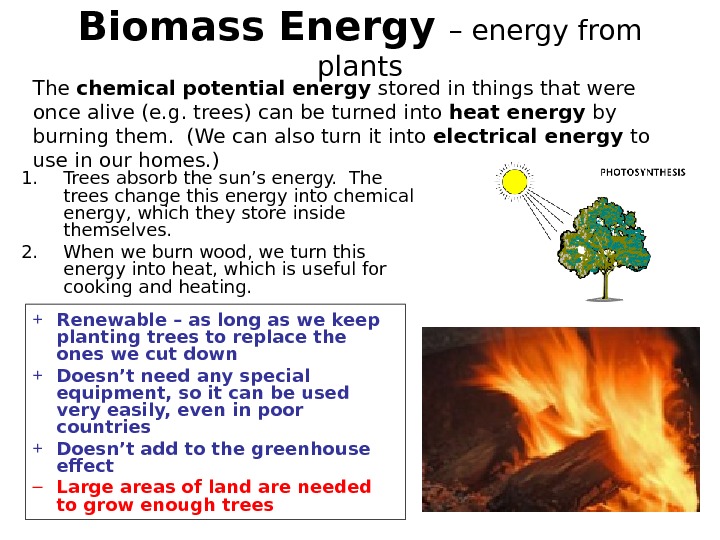 Biomass Energy  – energy from plants 1. Trees absorb the sun’s energy.  The trees